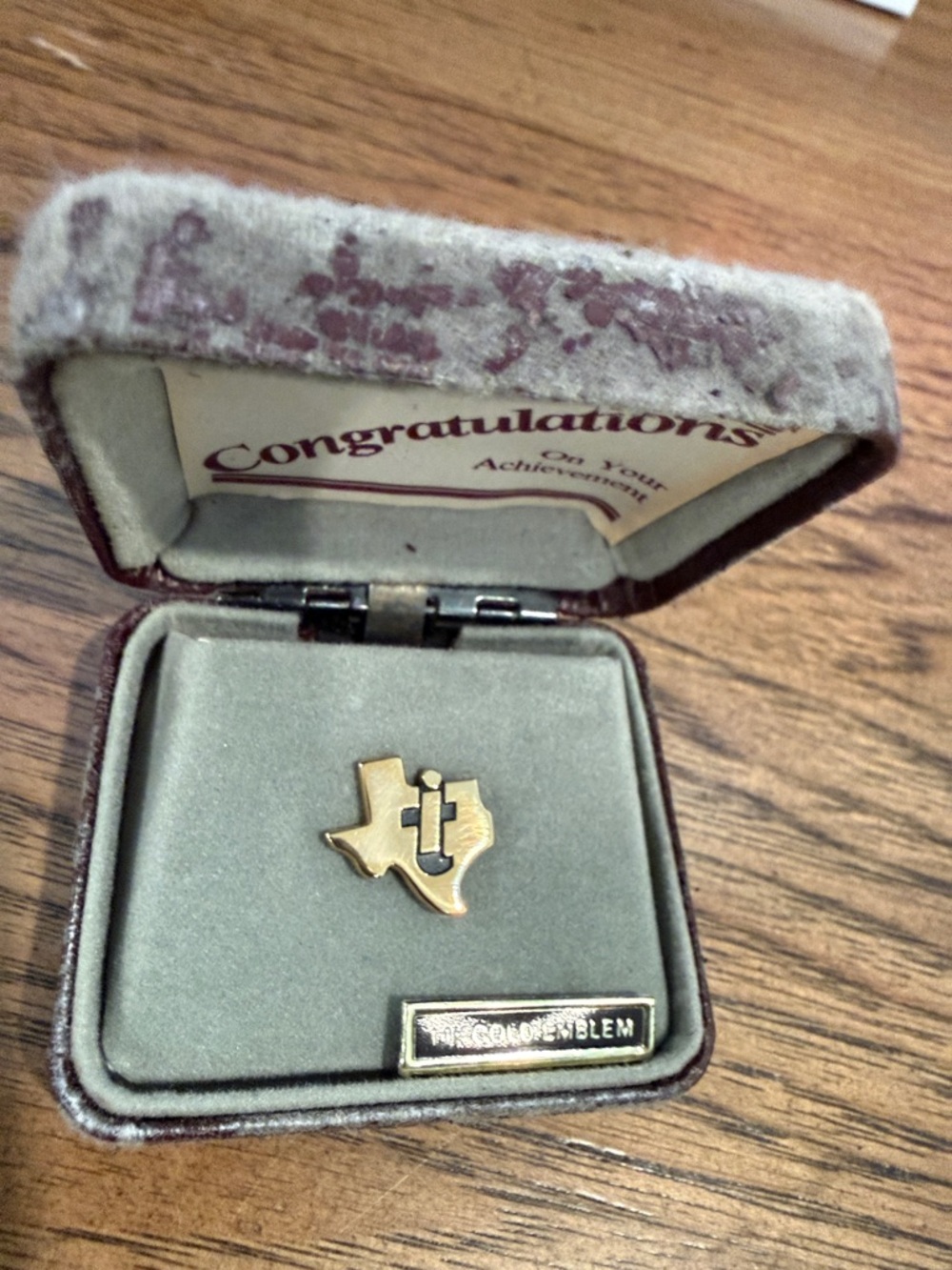 Texas Instruments Gold Texas Shape IT Logo Pin